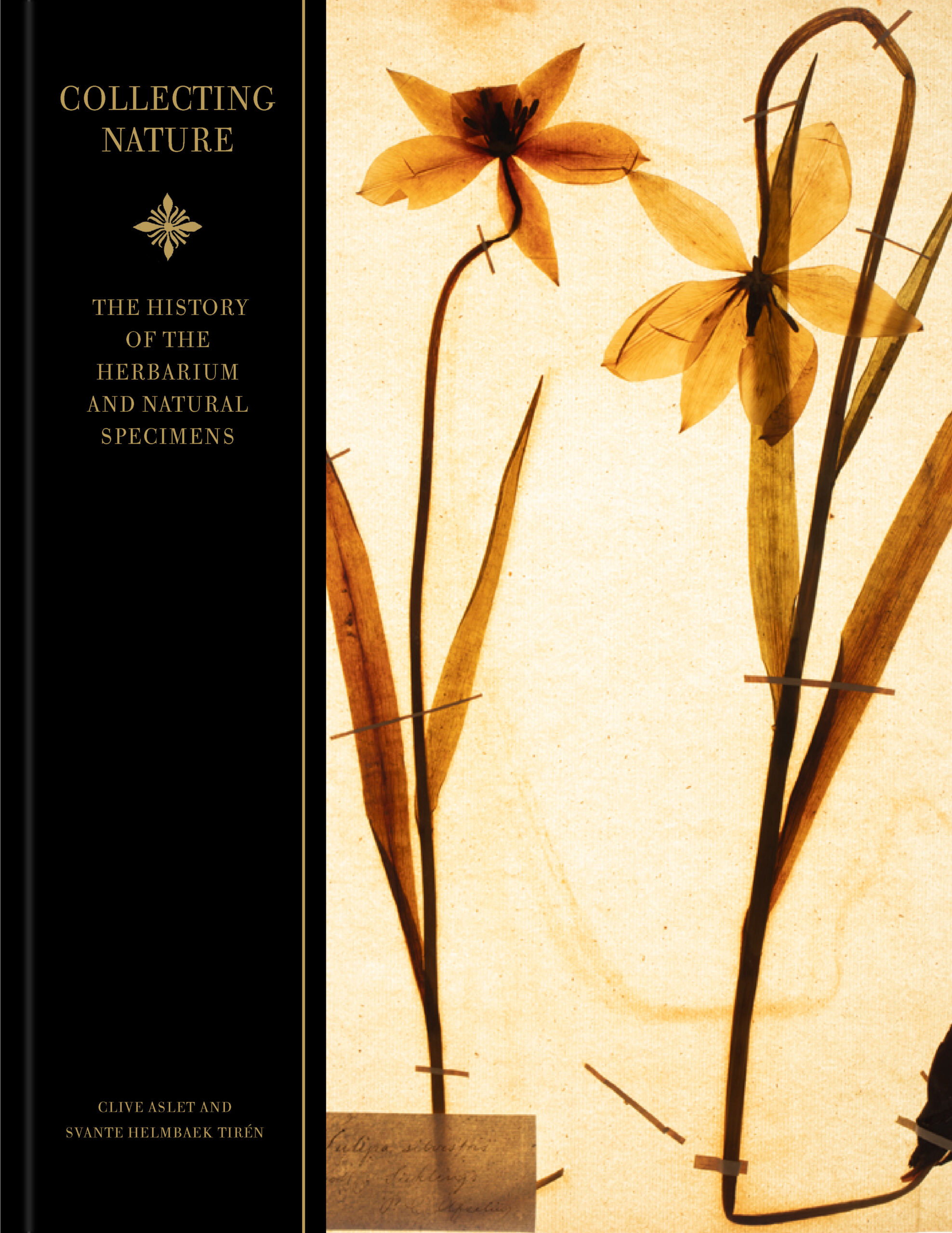 Collecting nature : a history of the herbarium and natural specimens